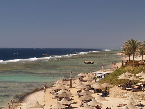 Sea view. Sun, sea, palms. Sharm el Shekh, Egypt