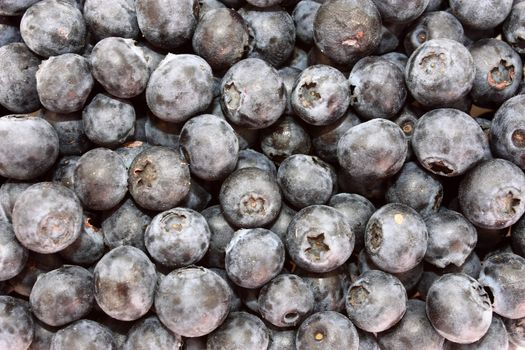 fresh blueberries, background