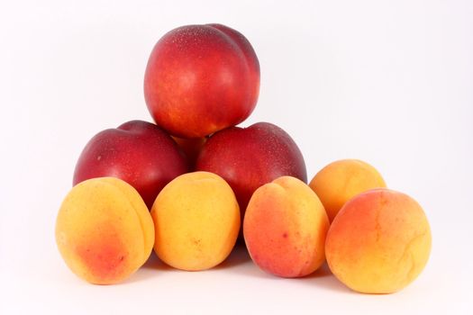 fresh colorful riped apricots and nectarines