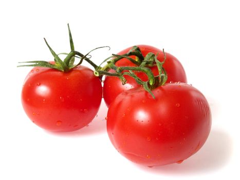 Tree vine tomatoes, fresh with water droplets, isolated on white
