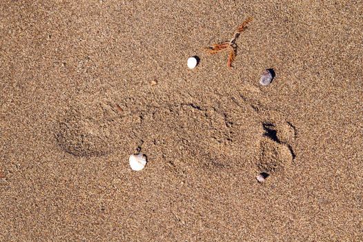 Footprint on wet sand in summer afternoon