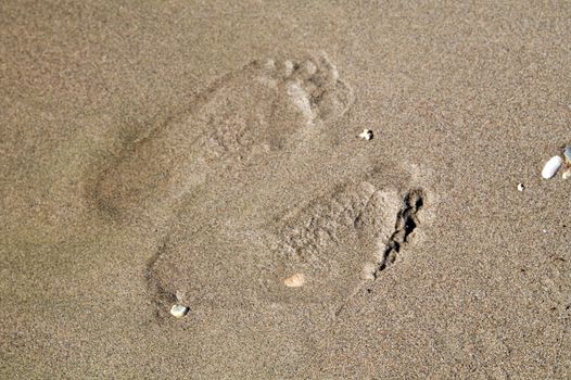 Two footprints on wet sand