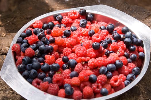 Metal plate with raspberry and blueberry