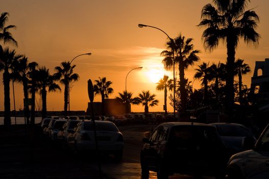 Orange sunset with palms, cars and lampposts