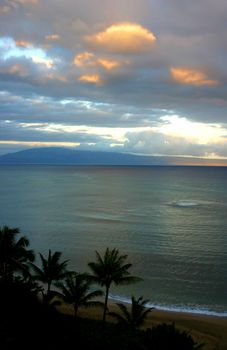 Maui Sunset with palm trees and Molokai in the background