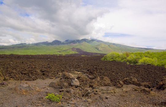 An old Lava Flow from a Hawaiian Volcano on Maui