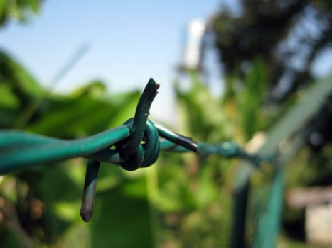 close up for a barbed wire