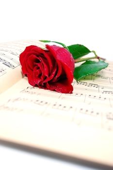Red rose on music sheet