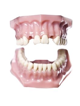 Vintage artificial teeths isolated on white background