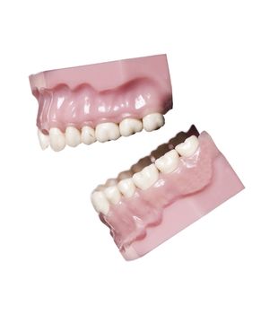 Vintage artificial teeths isolated on white background