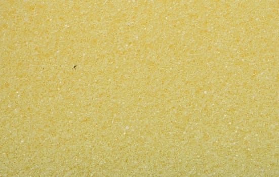 synthetic sponge background