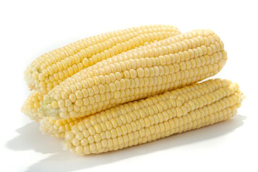 Ripe fruits of sweet corn on white 