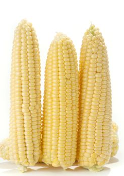 Ripe fruits of sweet corn on white 