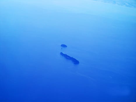 a top view from sky - island, sea, ocean