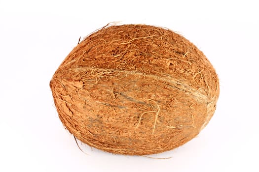 Coconut isolated on white background