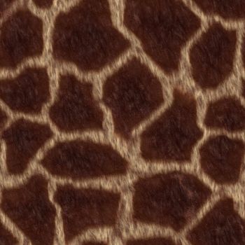 The texture giraffe fell,  suits for duplication of the background, illustration