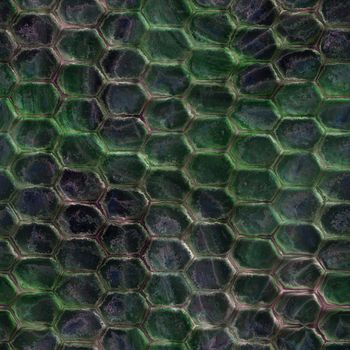 The texture snake skin,  suits for duplication of the background, illustration