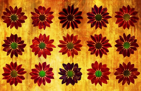 Floral Grunge Love Background With Dried Flowers