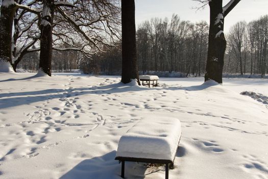 Empty snowy wooden bench in the Park. WInter time.