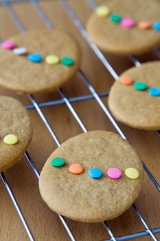 Colorful easter cookies on a rack