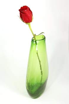 A single stemmed red rose in a green vase with a white background
