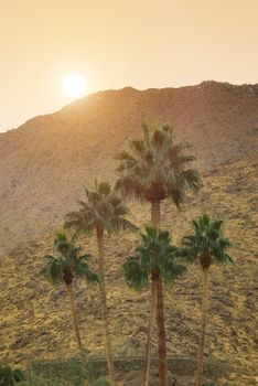 View on San Jacinto Mountains near Palm Springs at sunset.