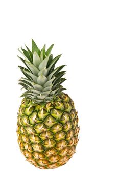 Image of a single pineapple on white background