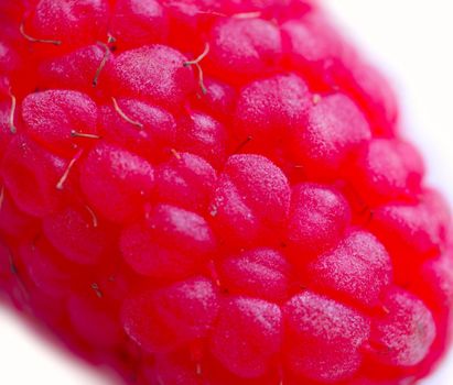 macro of raspberry