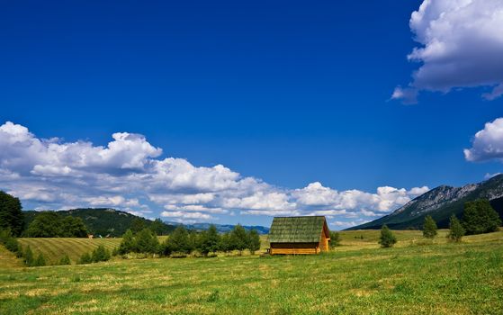 small wooden house in rural bright summer landscape