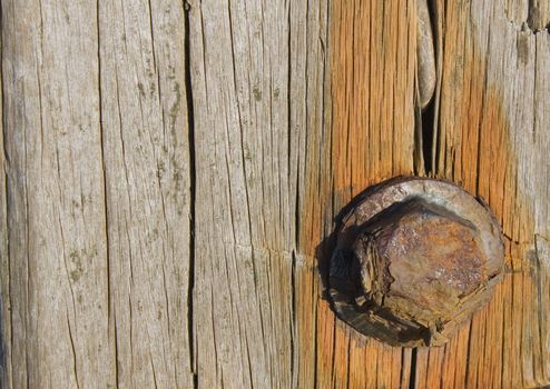 Rusting bolt in a piece of weathered timber
