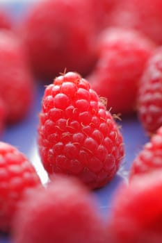 Raspberry. This image is focused on one of them