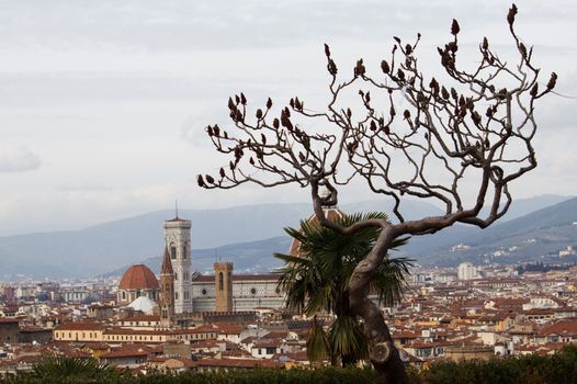 The dome of Florence. santa maria del fiore and campanile of Giotto 