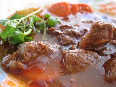 close up for a plate of beef stewed