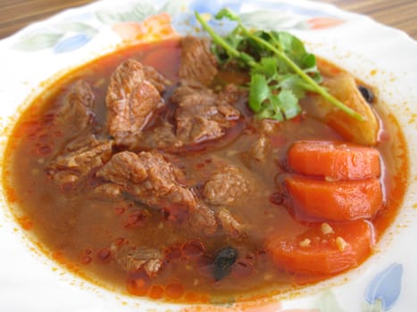 close up for a plate of beef stewed