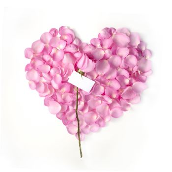 Flower petals in heart shape with pink rose and blank card - isolated