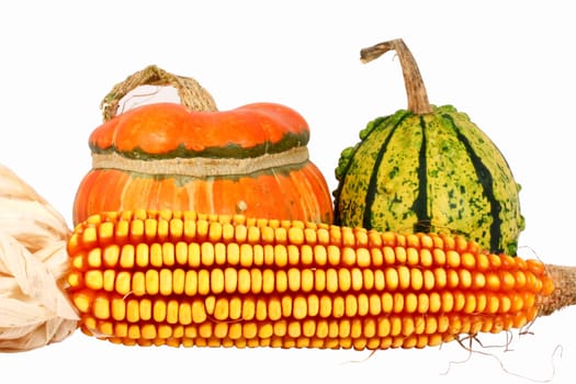 Two colorful gourds with maize, isolated