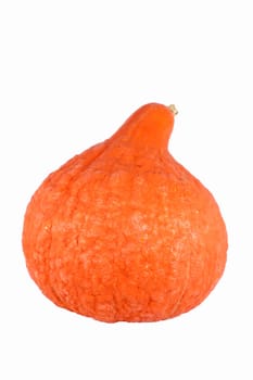 Decorative orange gourd, isolated on white