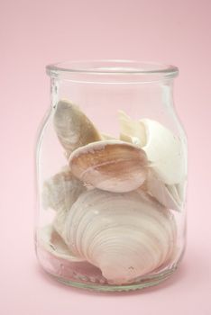 glass container with shells