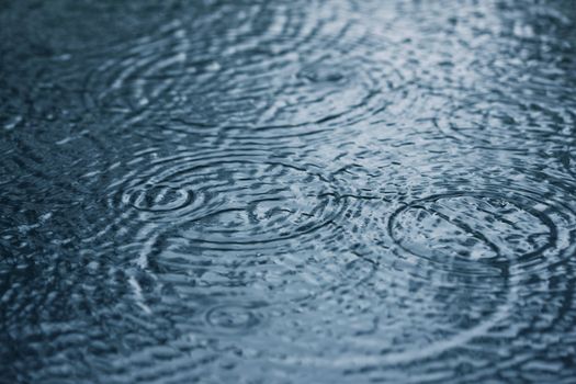 Close-up image of raindrops and rippled water during heavy rainfall - large XXL image