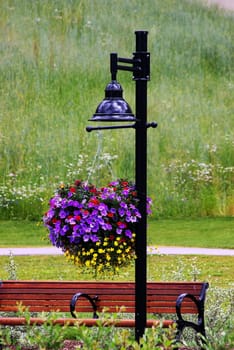 Bench at a city park