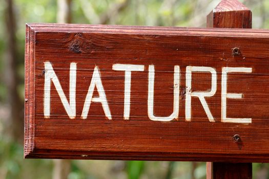Close up of a varnished wooden panel showing the word "Nature" in paint