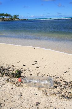 A discarded plastic bottle, washed ashore by the tide, lying on a secluded sandy beach