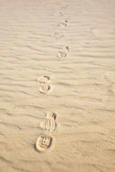 A photography of some footsteps in the sand