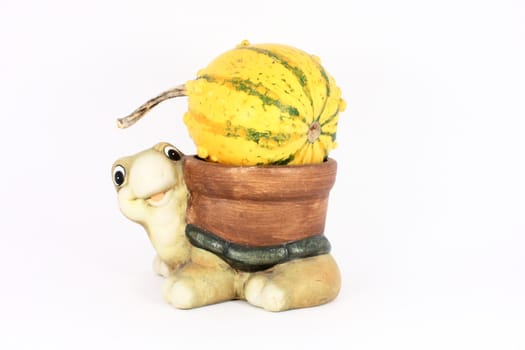 Nice turtle of clay and a gourd, isolated