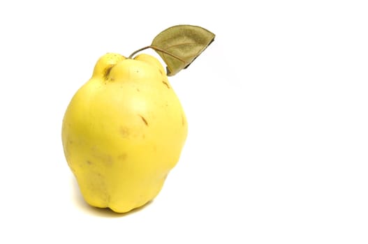 close up on a fresh scented quince, isolated on white