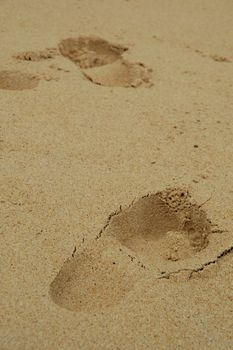 Footprints in the sand