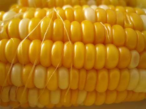 close up view for sweet corn