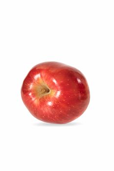 Red apple on a white background
