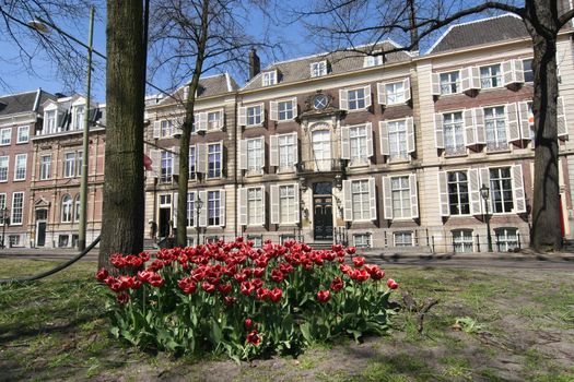 Spring flowers and classic mansions in The Hague, Holland