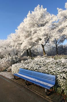 Bench with frozen trees in wintry park